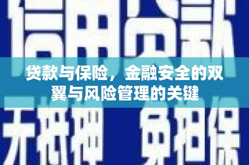 芦溪贷款与保险，金融安全的双翼与风险管理的关键