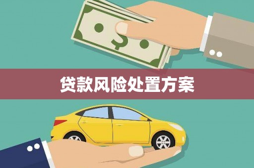 芦溪贷款风险处置方案