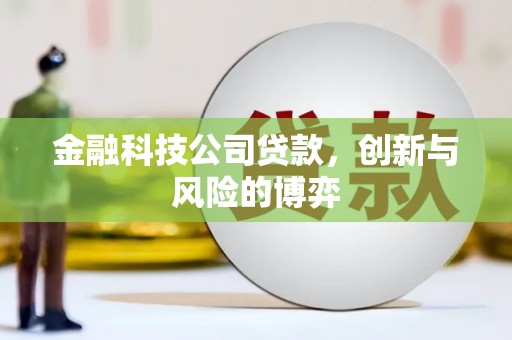 芦溪金融科技公司贷款，创新与风险的博弈