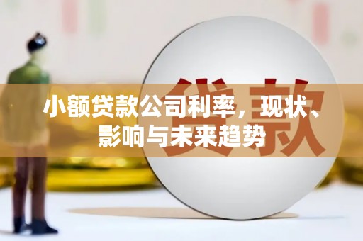 芦溪小额贷款公司利率，现状、影响与未来趋势