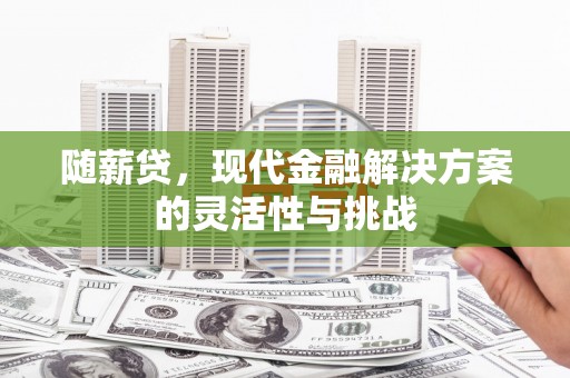 芦溪随薪贷，现代金融解决方案的灵活性与挑战