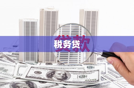 芦溪税务贷