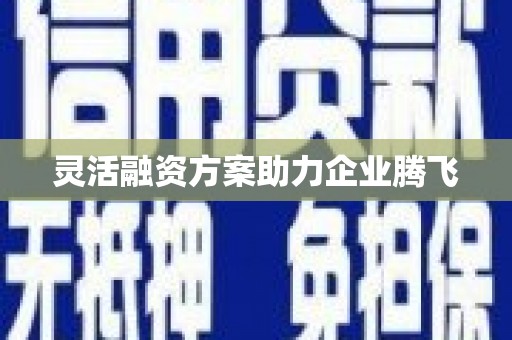 芦溪灵活融资方案助力企业腾飞