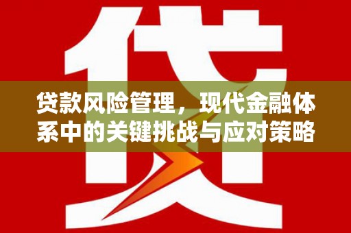 芦溪贷款风险管理，现代金融体系中的关键挑战与应对策略