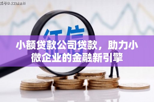 芦溪小额贷款公司贷款，助力小微企业的金融新引擎