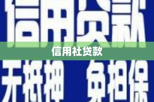 芦溪信用社贷款