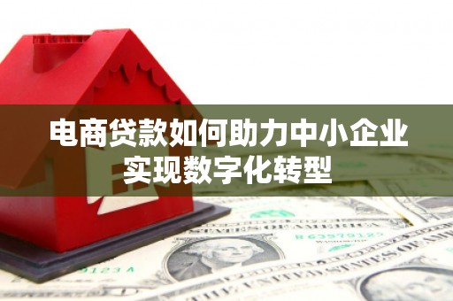 芦溪电商贷款如何助力中小企业实现数字化转型