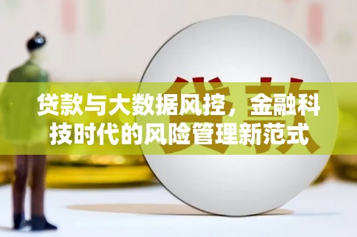 芦溪贷款与大数据风控，金融科技时代的风险管理新范式