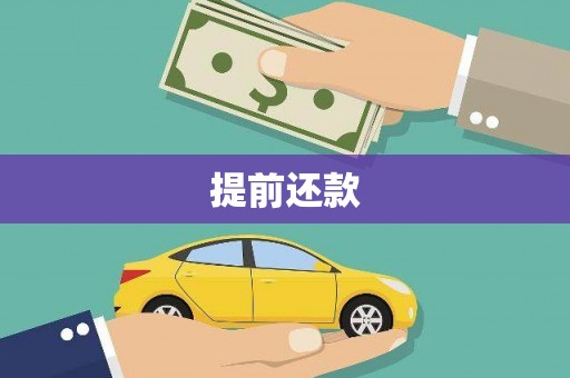 芦溪提前还款