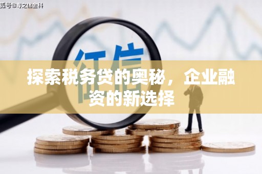 芦溪探索税务贷的奥秘，企业融资的新选择