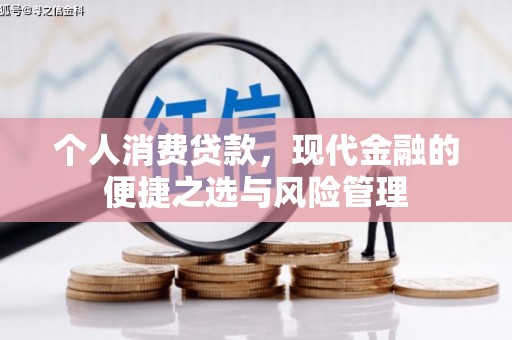 芦溪个人消费贷款，现代金融的便捷之选与风险管理