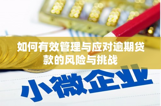 芦溪如何有效管理与应对逾期贷款的风险与挑战