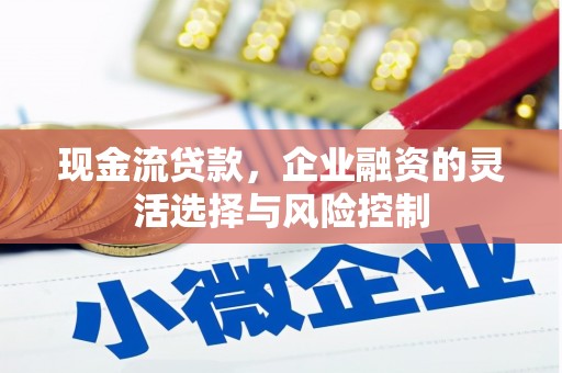 芦溪现金流贷款，企业融资的灵活选择与风险控制