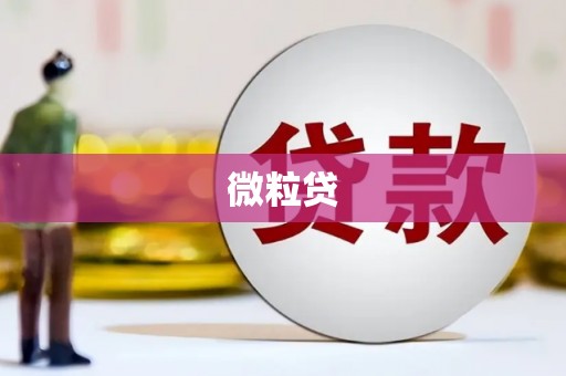 芦溪微粒贷