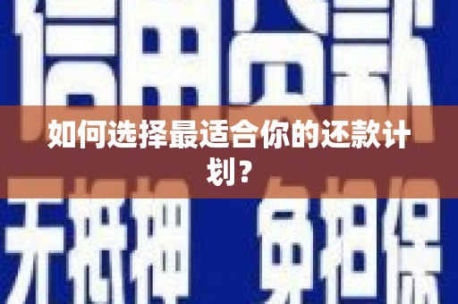 芦溪如何选择最适合你的还款计划？