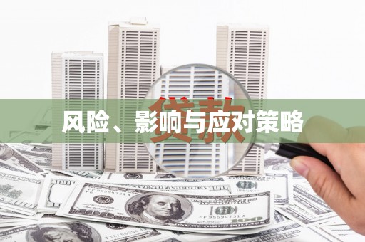 芦溪风险、影响与应对策略