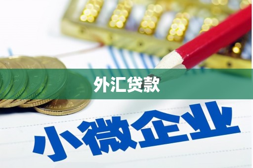 芦溪外汇贷款