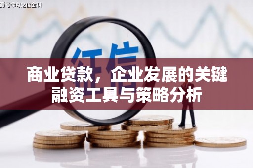芦溪商业贷款，企业发展的关键融资工具与策略分析