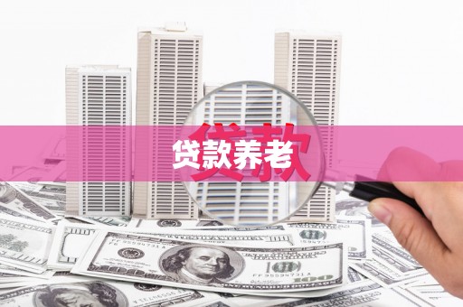 芦溪贷款养老