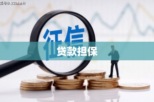 芦溪贷款担保