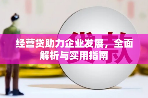 芦溪经营贷助力企业发展，全面解析与实用指南
