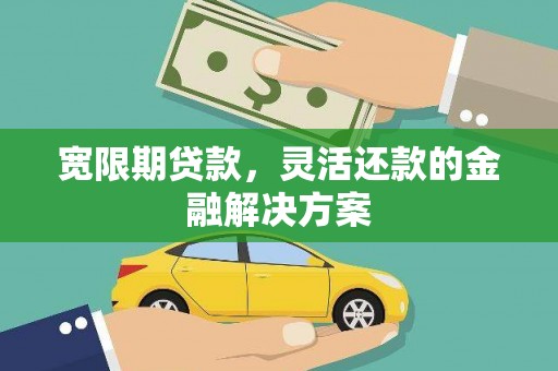 芦溪宽限期贷款，灵活还款的金融解决方案