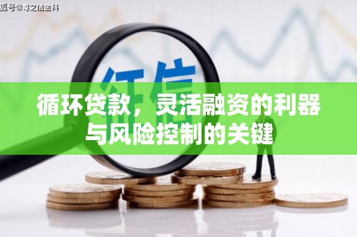 芦溪循环贷款，灵活融资的利器与风险控制的关键