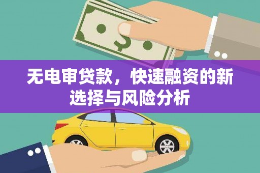 芦溪无电审贷款，快速融资的新选择与风险分析