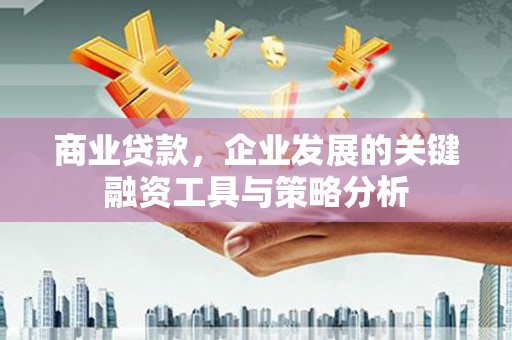 芦溪商业贷款，企业发展的关键融资工具与策略分析