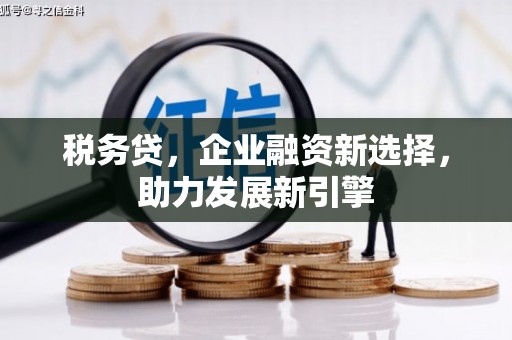 芦溪税务贷，企业融资新选择，助力发展新引擎
