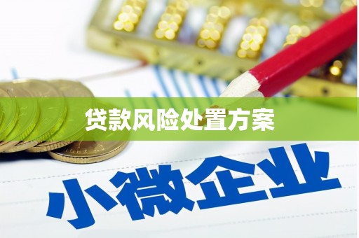 芦溪贷款风险处置方案