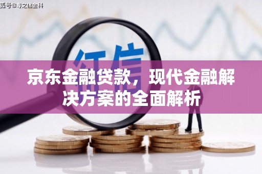 芦溪京东金融贷款，现代金融解决方案的全面解析