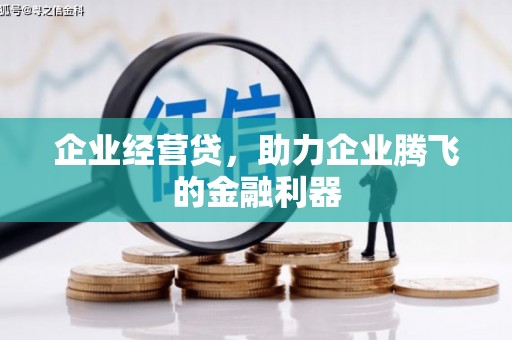 芦溪企业经营贷，助力企业腾飞的金融利器