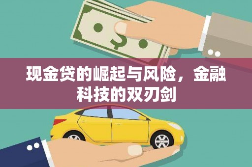 芦溪现金贷的崛起与风险，金融科技的双刃剑