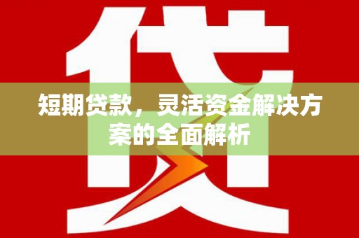 芦溪短期贷款，灵活资金解决方案的全面解析