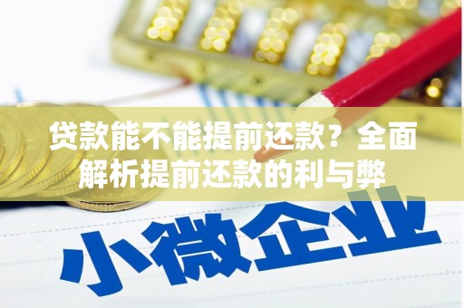 芦溪贷款能不能提前还款？全面解析提前还款的利与弊