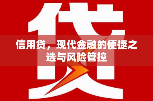 芦溪信用贷，现代金融的便捷之选与风险管控