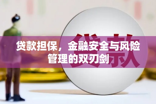芦溪贷款担保，金融安全与风险管理的双刃剑