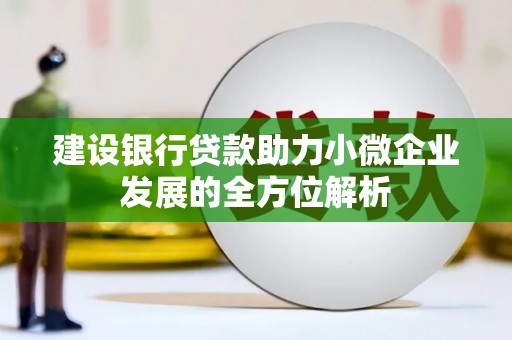 芦溪建设银行贷款助力小微企业发展的全方位解析
