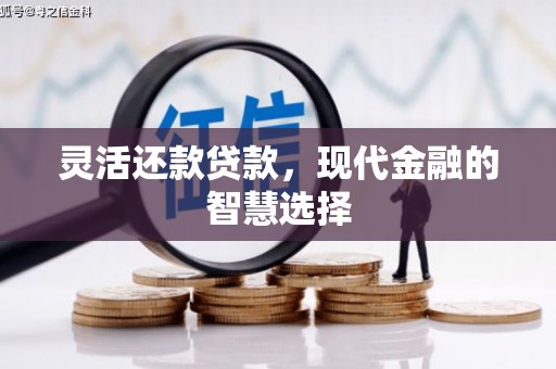 芦溪灵活还款贷款，现代金融的智慧选择