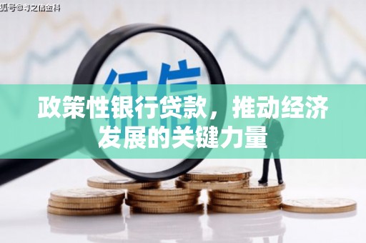 芦溪政策性银行贷款，推动经济发展的关键力量