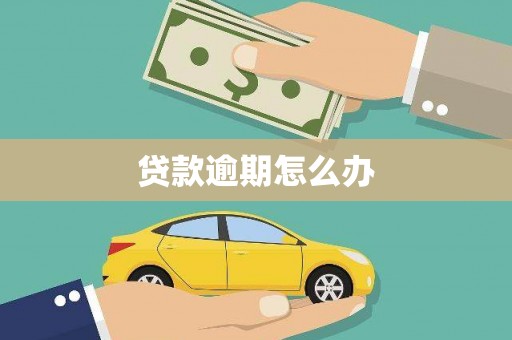 芦溪贷款逾期怎么办