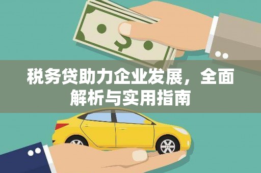 芦溪税务贷助力企业发展，全面解析与实用指南