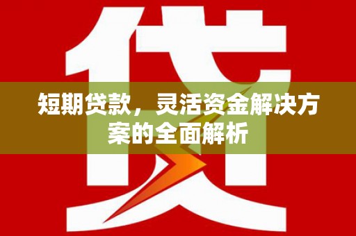 芦溪短期贷款，灵活资金解决方案的全面解析