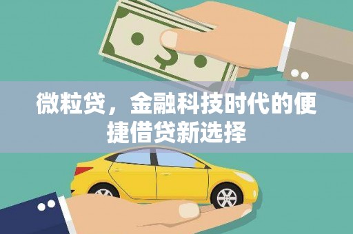 芦溪微粒贷，金融科技时代的便捷借贷新选择