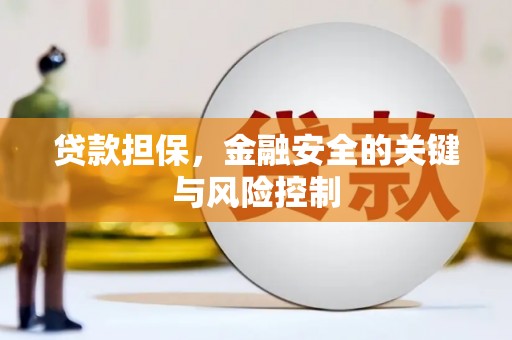 芦溪贷款担保，金融安全的关键与风险控制