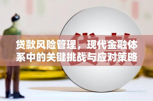 芦溪贷款风险管理，现代金融体系中的关键挑战与应对策略