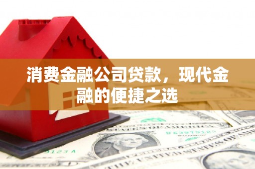 芦溪消费金融公司贷款，现代金融的便捷之选