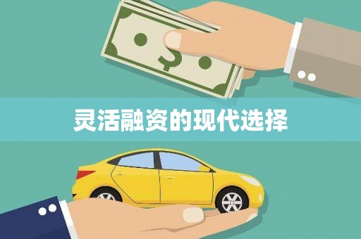 芦溪灵活融资的现代选择