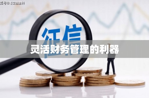芦溪灵活财务管理的利器